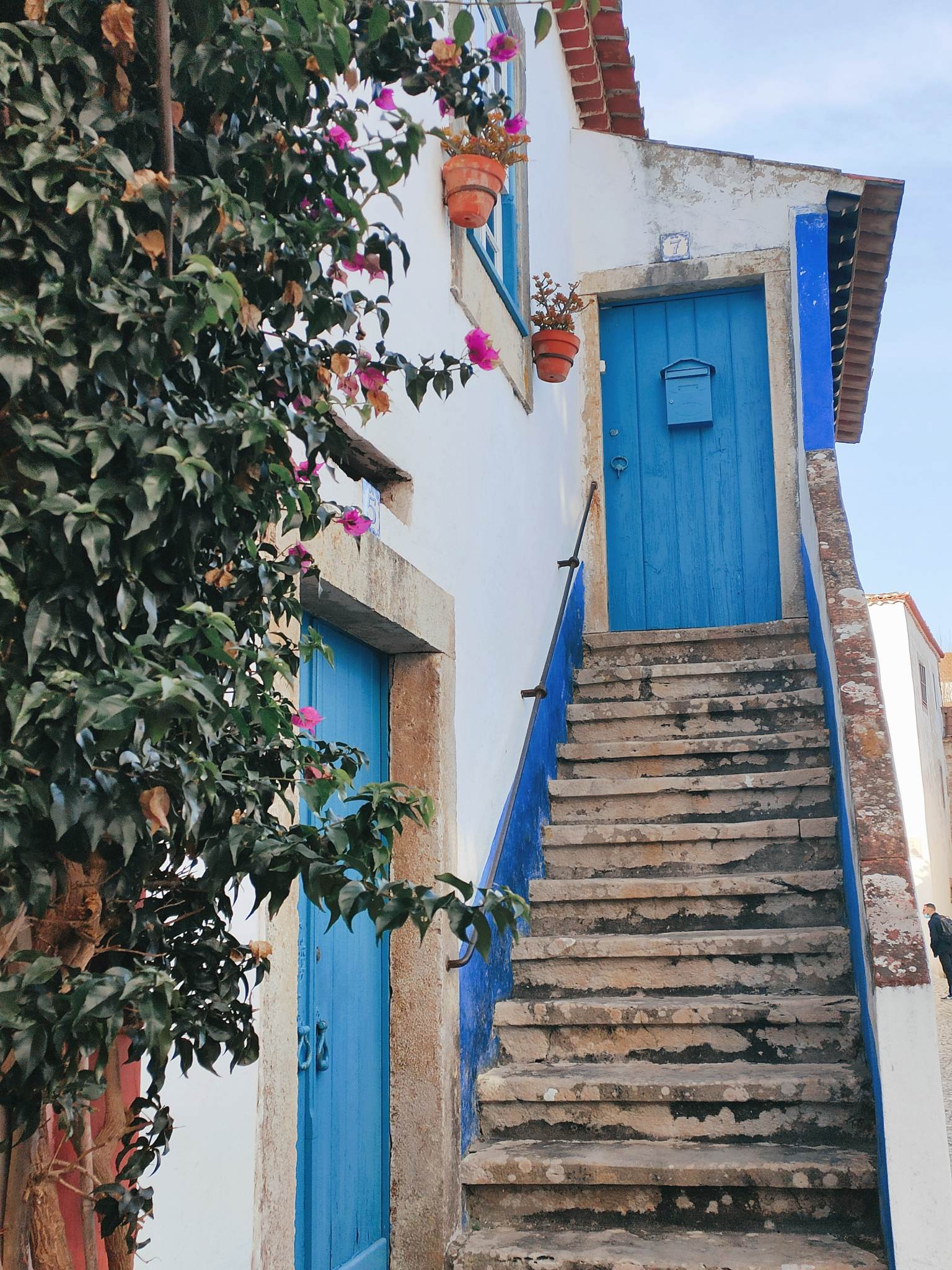 Photo d'arrière plan
Jolie porte bleu et mur fleuri