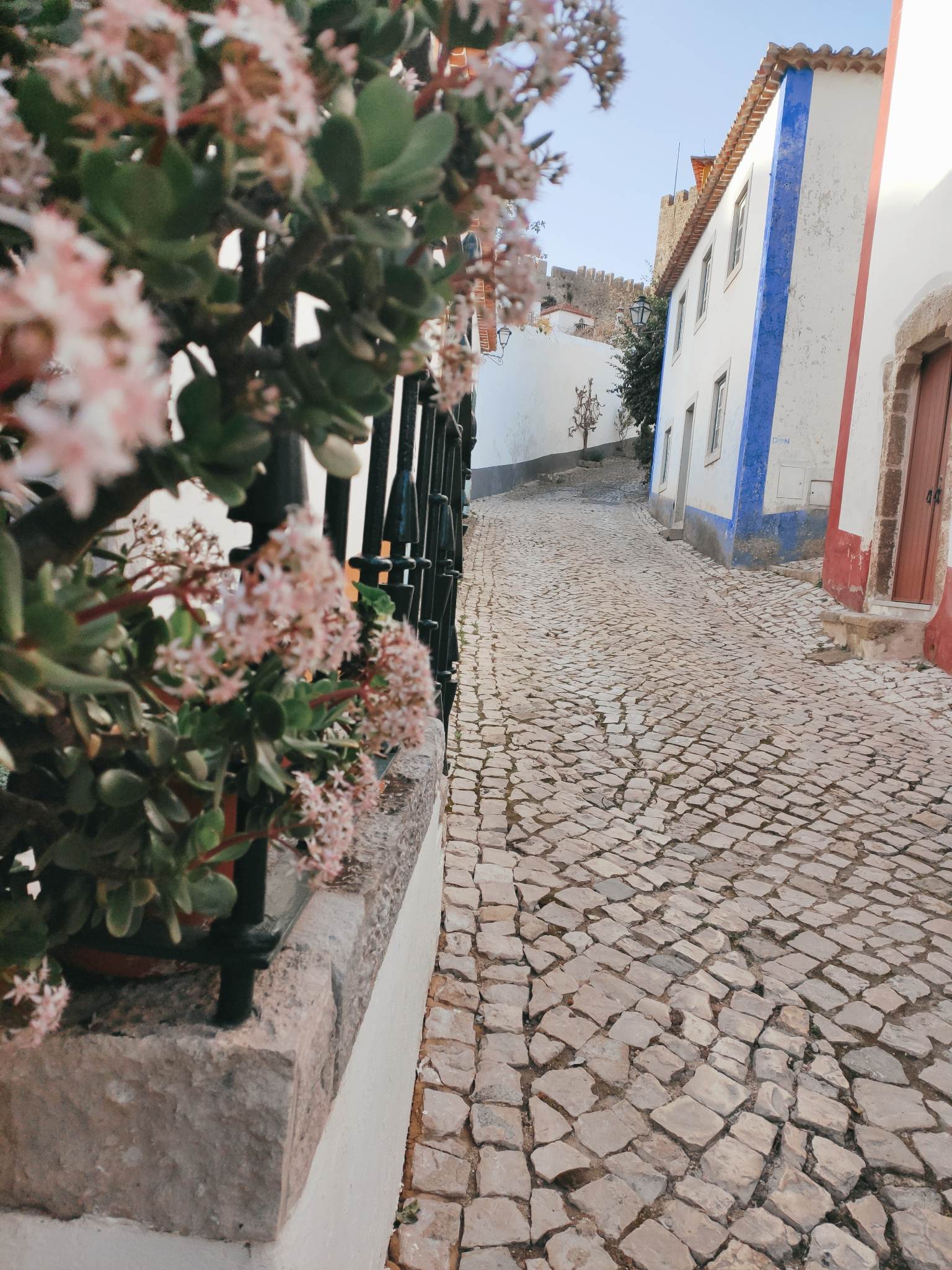 Photo d'arrière plan
Ruelle pavée bordée de fleurs